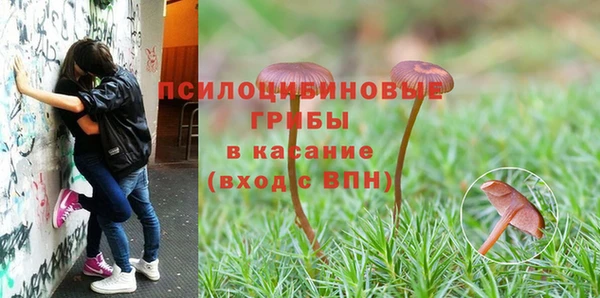 молекула духа Абдулино