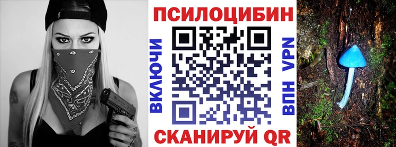 это телеграм  Богданович  Галлюциногенные грибы мицелий 