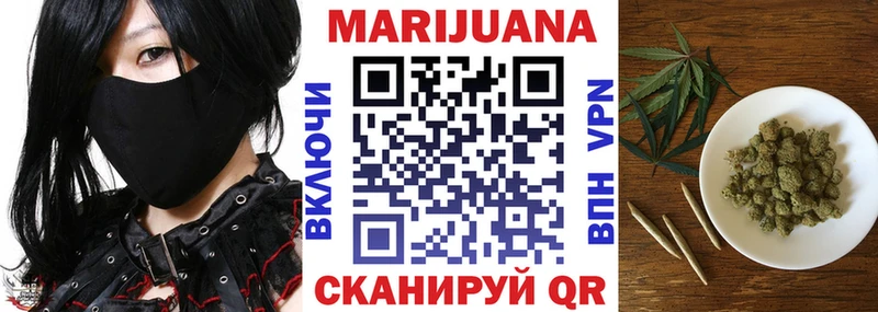 Каннабис сатива  Богданович 